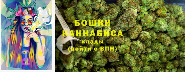 ПСИЛОЦИБИНОВЫЕ ГРИБЫ Майский