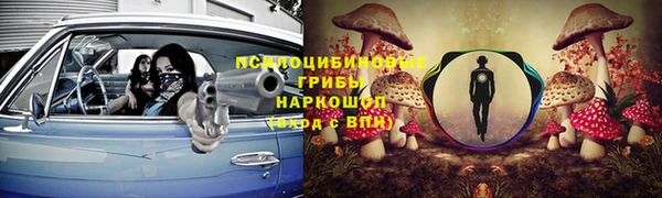 ПСИЛОЦИБИНОВЫЕ ГРИБЫ Майский