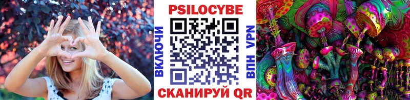 Купить  Райчихинск  Галлюциногенные грибы прущие грибы 